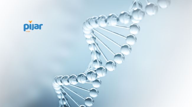 DNA dan RNA - Pengertian, Struktur, dan Perbedaannya image