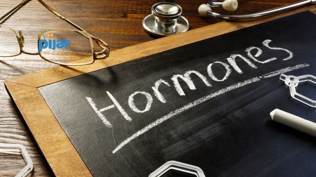 Sistem Hormon pada Manusia: Pengertian, Fungsi, Jenis dan Gangguannya image