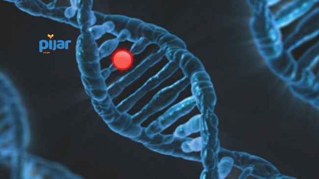 Penyebab Mutasi Kromosom dan Mutasi Gen image