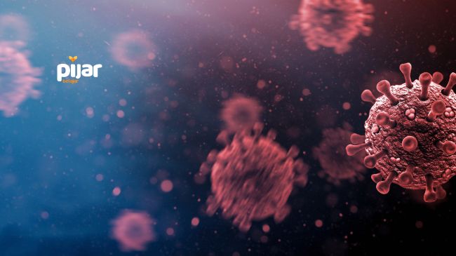 Virus: Sejarah Penemuan, Ciri-Ciri, Struktur Tubuh, serta Bentuknya image