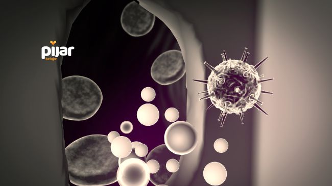 Replikasi Virus: Daur Litik dan Lisogenik image