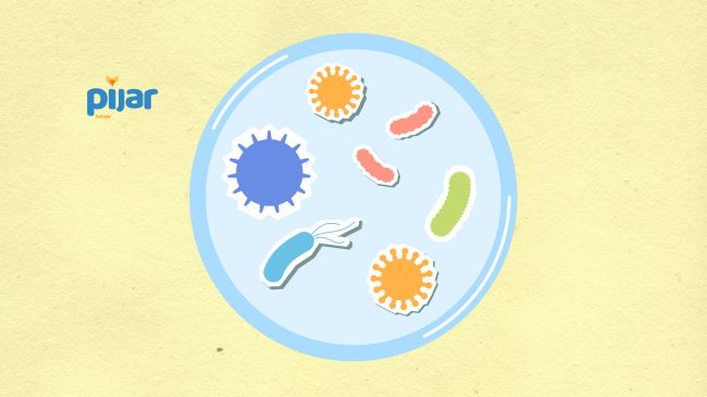 Cara Hidup Bakteri, Reproduksi, dan Peranannya dalam Kehidupan Sehari-hari image